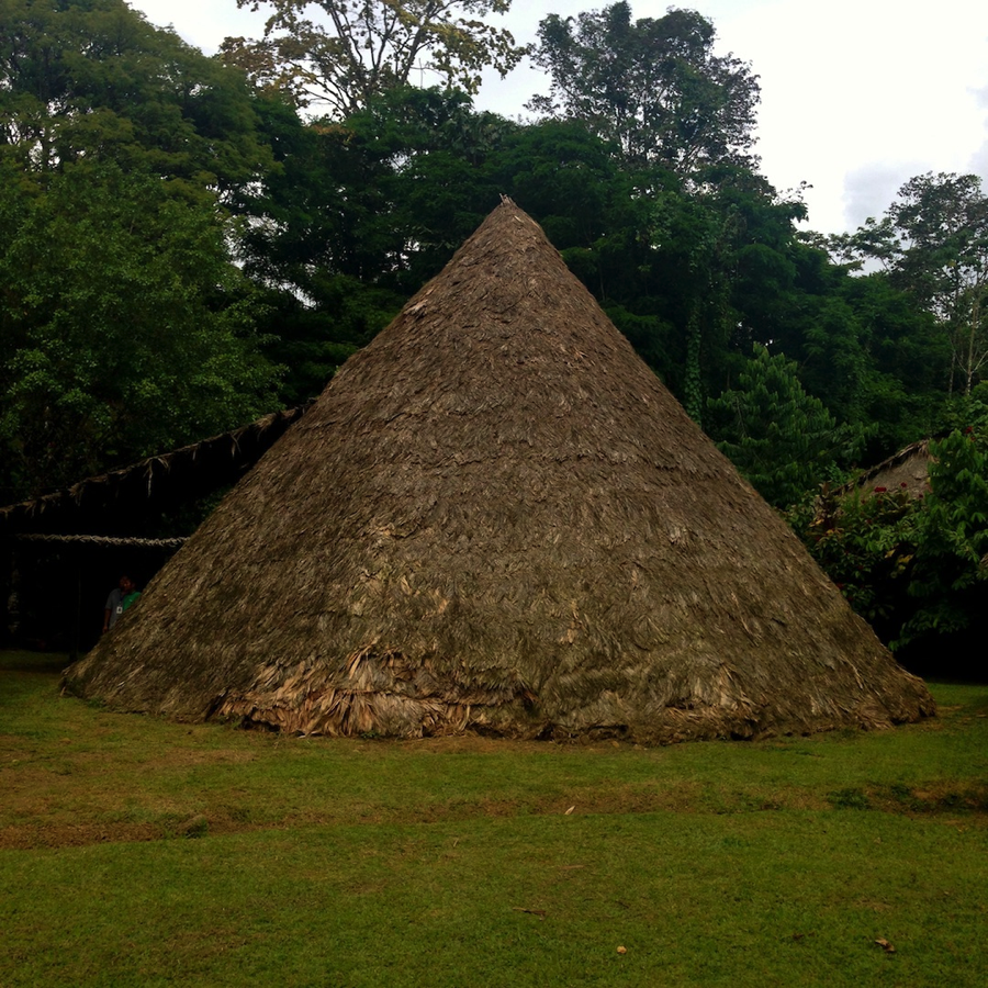 Image for June 3, 2014 - Ditsowu, Talamanca, Costa Rica