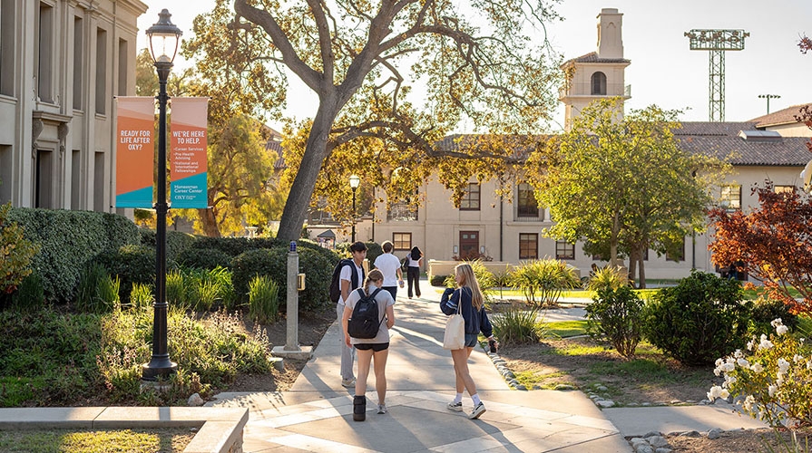 A sunny view of students walking down a campus sidewalk
