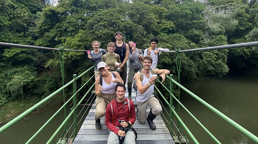 students on a suspension bridge in a jungle environment