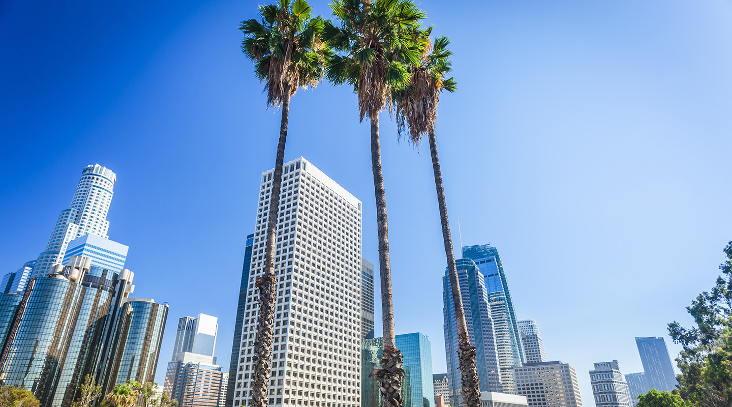 View of downtown LA skyline with palm trees