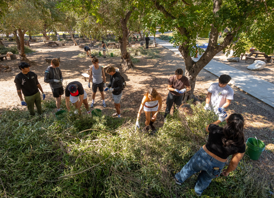 Plans for the Fall 2024 Olive Harvest are underway after the success of last November's inaugural harvest.