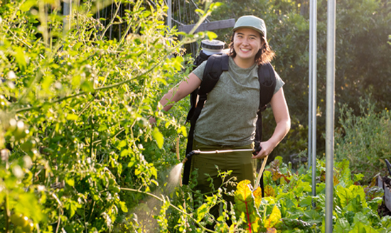 Ellie Chang '26 tends to the plants on Avenue 33 Farm, an urban farm on 1.2 acres in Lincoln Heights.