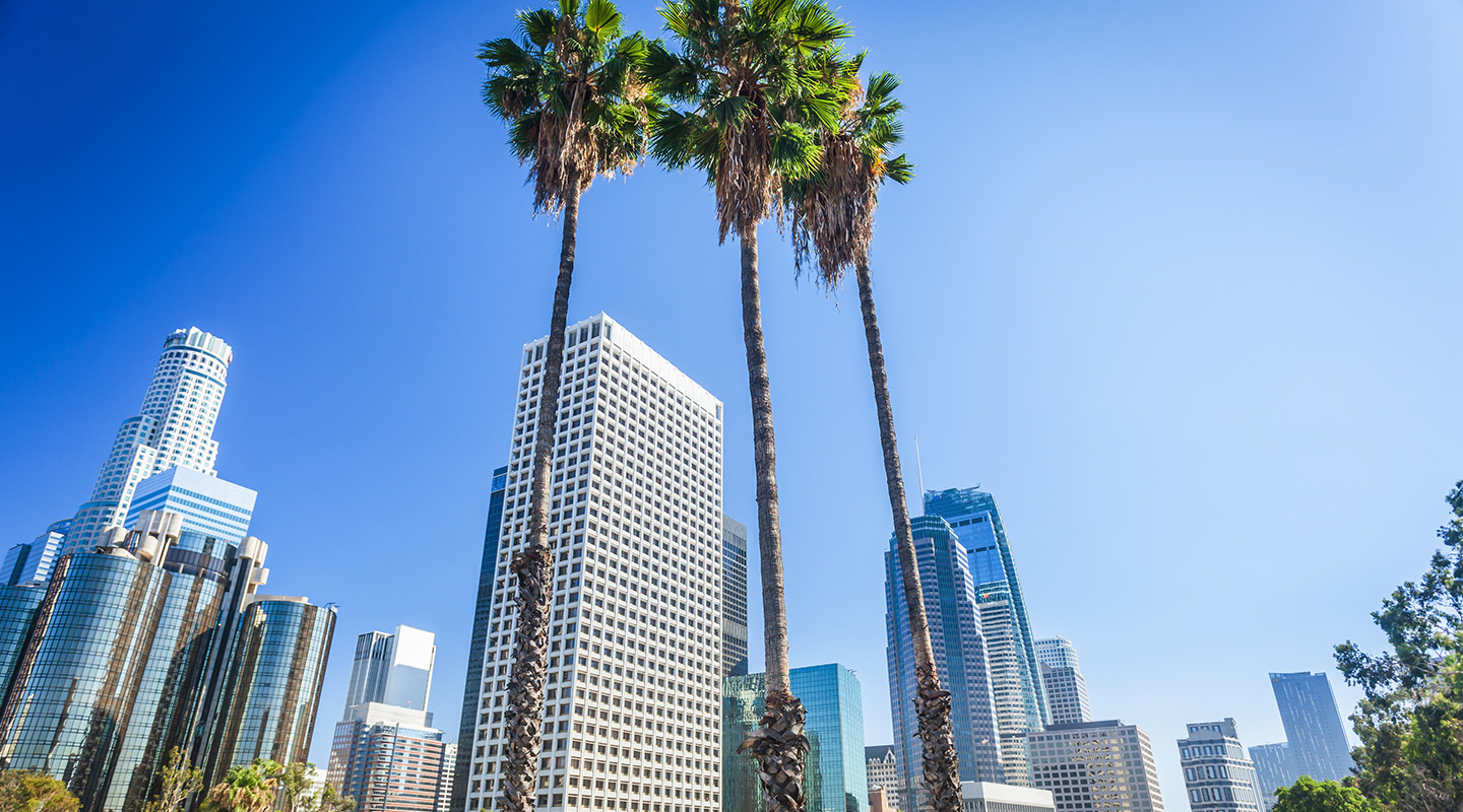 The Los Angeles skyline with blue sky and palm trees