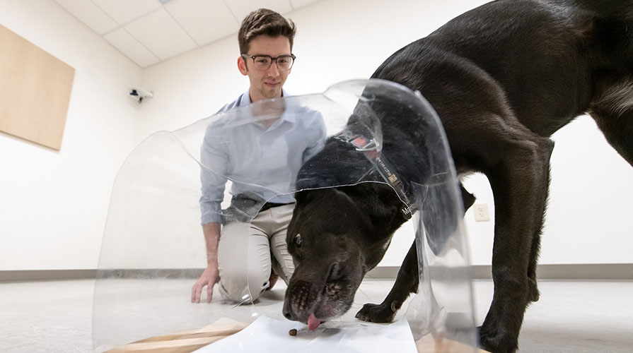 Occidental College Professor Zach Silver works with a black dog in the lab