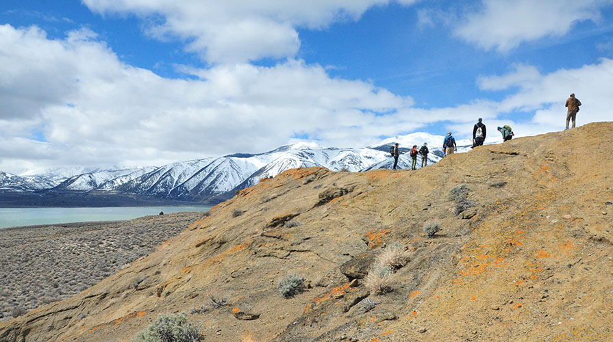 An image of Occidental College students at a field site in Mono Lake, CA