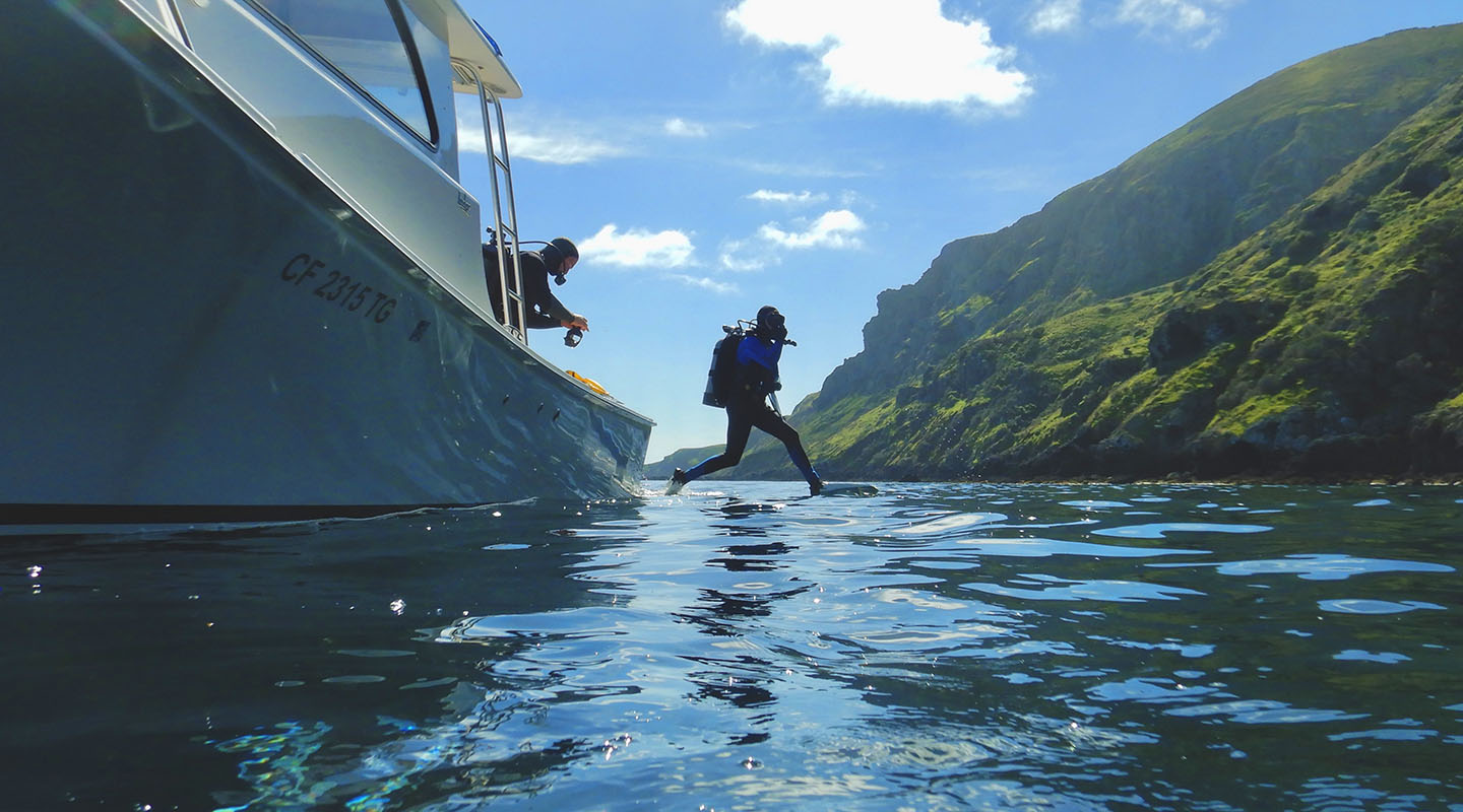 A Vantuna Research Group diver jumps off the research ship into the ocean