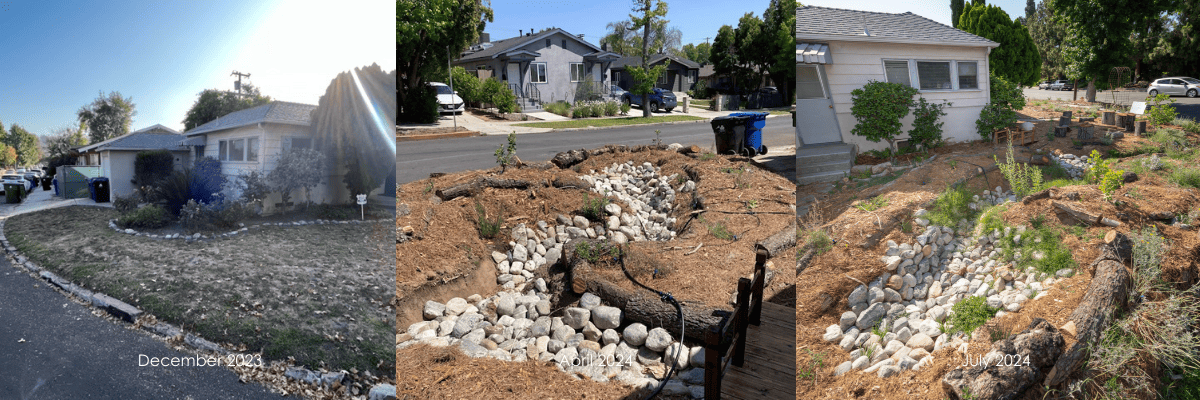 Three images of the UEPI Native Garden. The first shows the non-native grass lawn, while the second depicts newly planted native plants and a dry riverbed for water retention. The third photo shows the growth of the native plants a few months after planting.