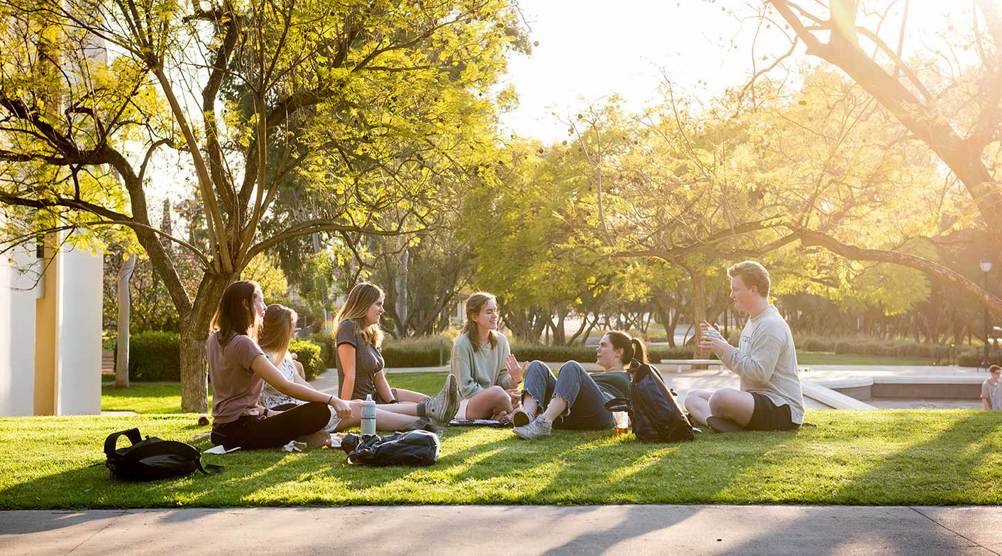 Students hanging out on the grass on campus