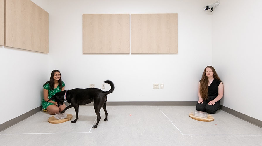 A black dog works with two Occidental College student researchers