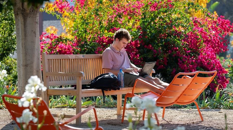 Student working at a laptop