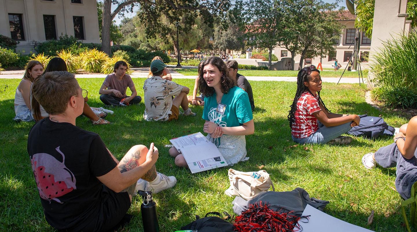 Students sitting together in a loose group on a green lawn on campus