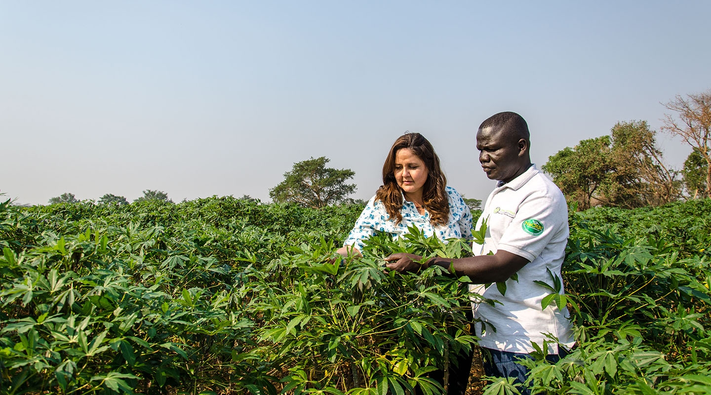 Occidental College alumna Laura Boykin Okalebo '96 in a field of health cassava plants in East Africa