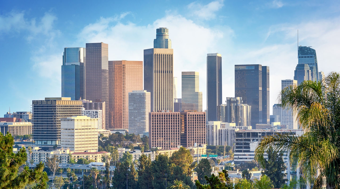 a photo of downtown los angeles skyline by daylight