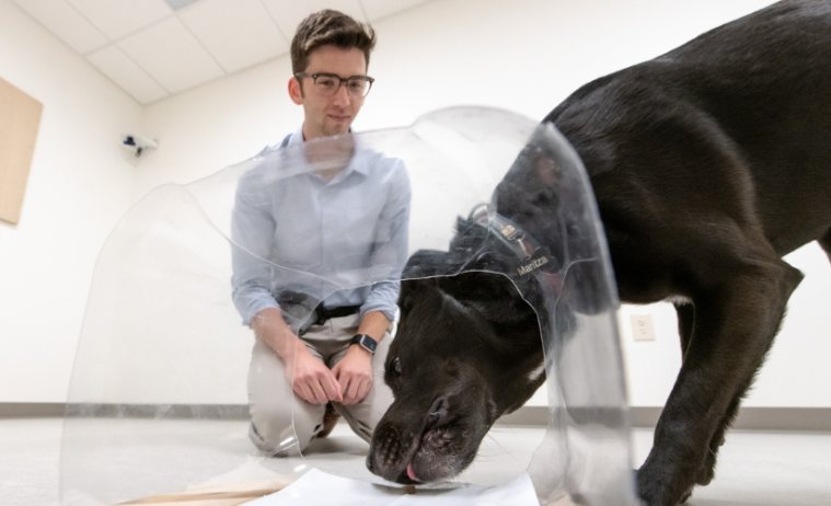 Zachary Silver observes a dog in the Canine Cognition Lab