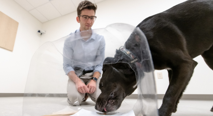 Zachary Silver observes a dog in the Canine Cognition Lab