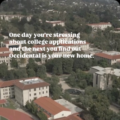 Oxy Homepage