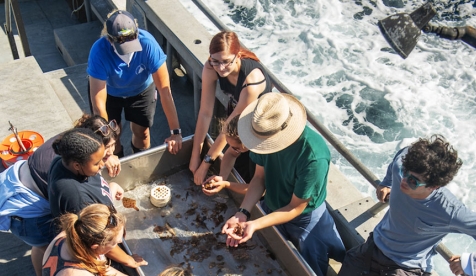 Occidental College students doing research on a trawling ship on the ocean
