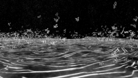 Abstract black and white illustration of water with letters from different languages floating.