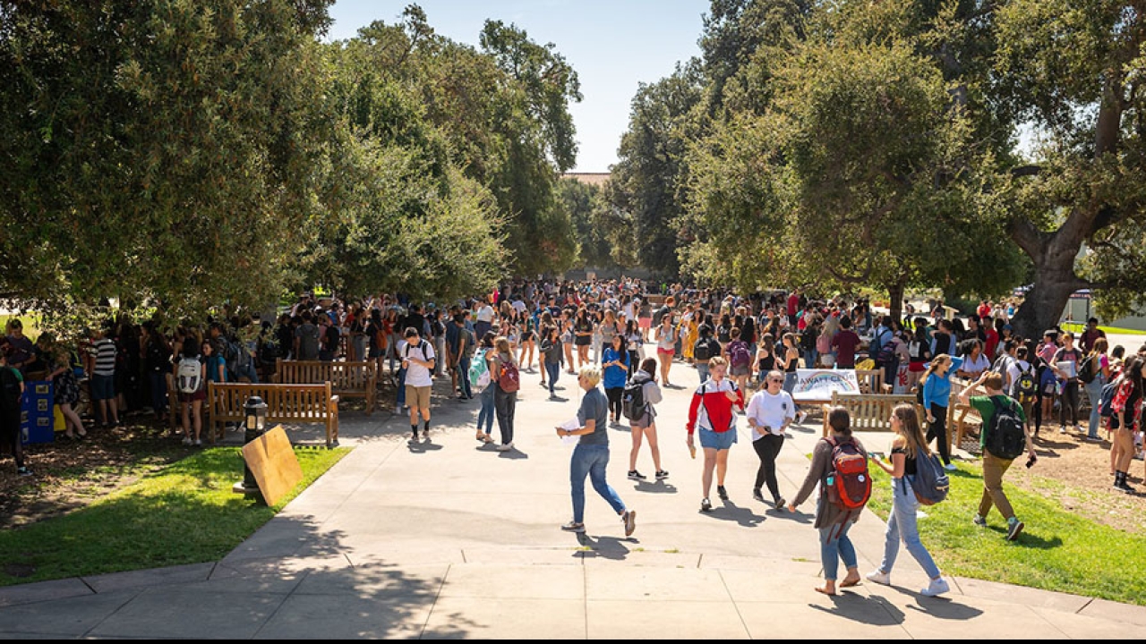 Student Org Handbook | Occidental College