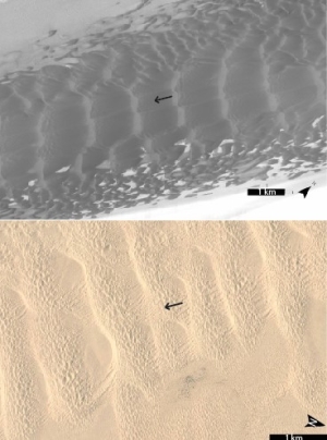 Images of compound sand dune ripples from Mars (top) and California, Earth (bottom)